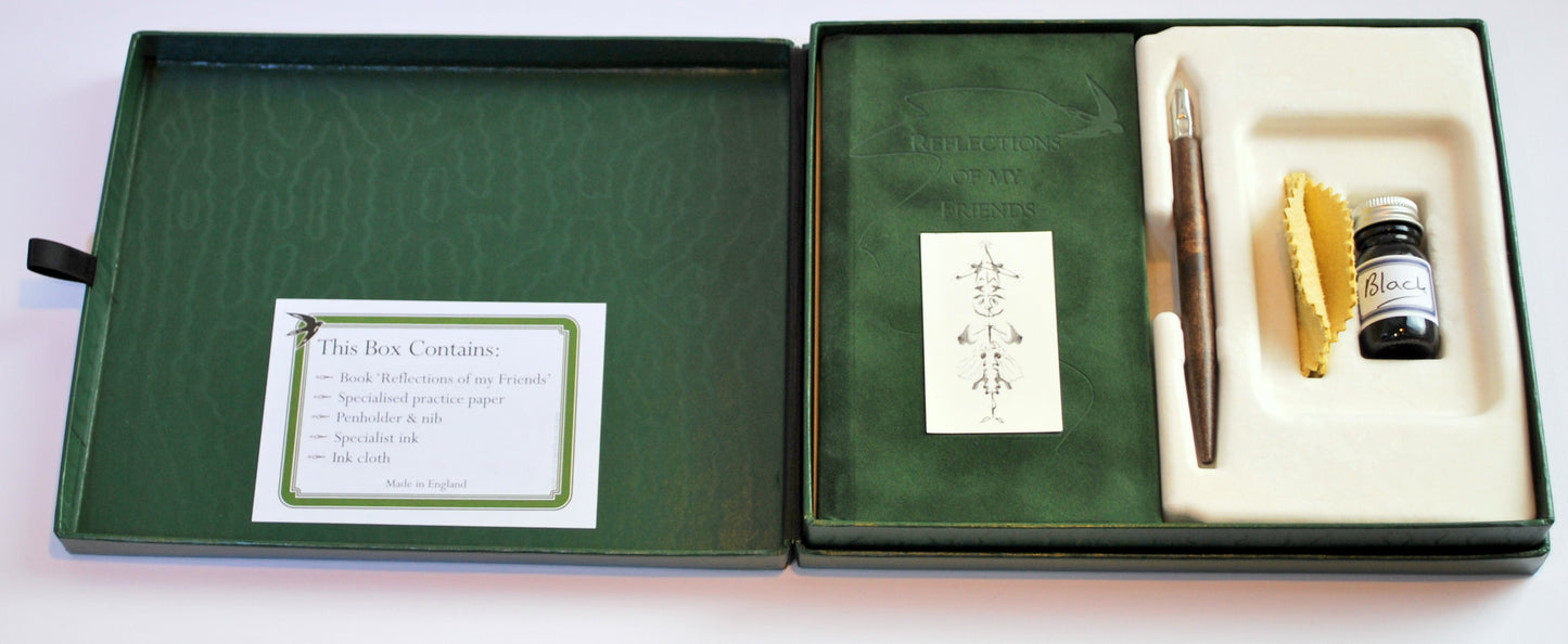 green gift box set